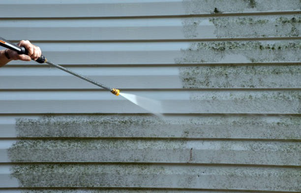 Best Affordable Power Washing  in Rockford, MI