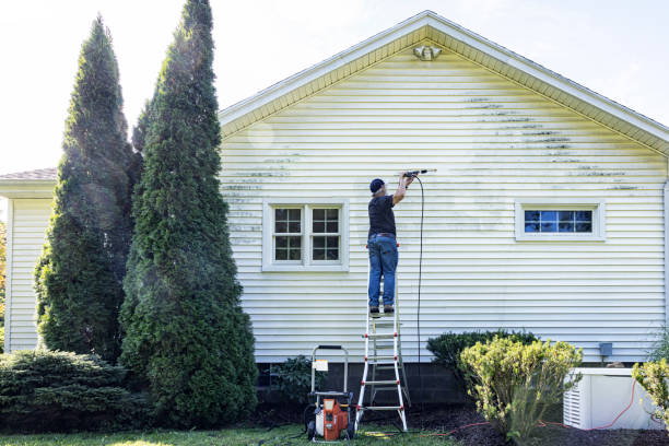 Best Roof Power Washing Services  in Rockford, MI